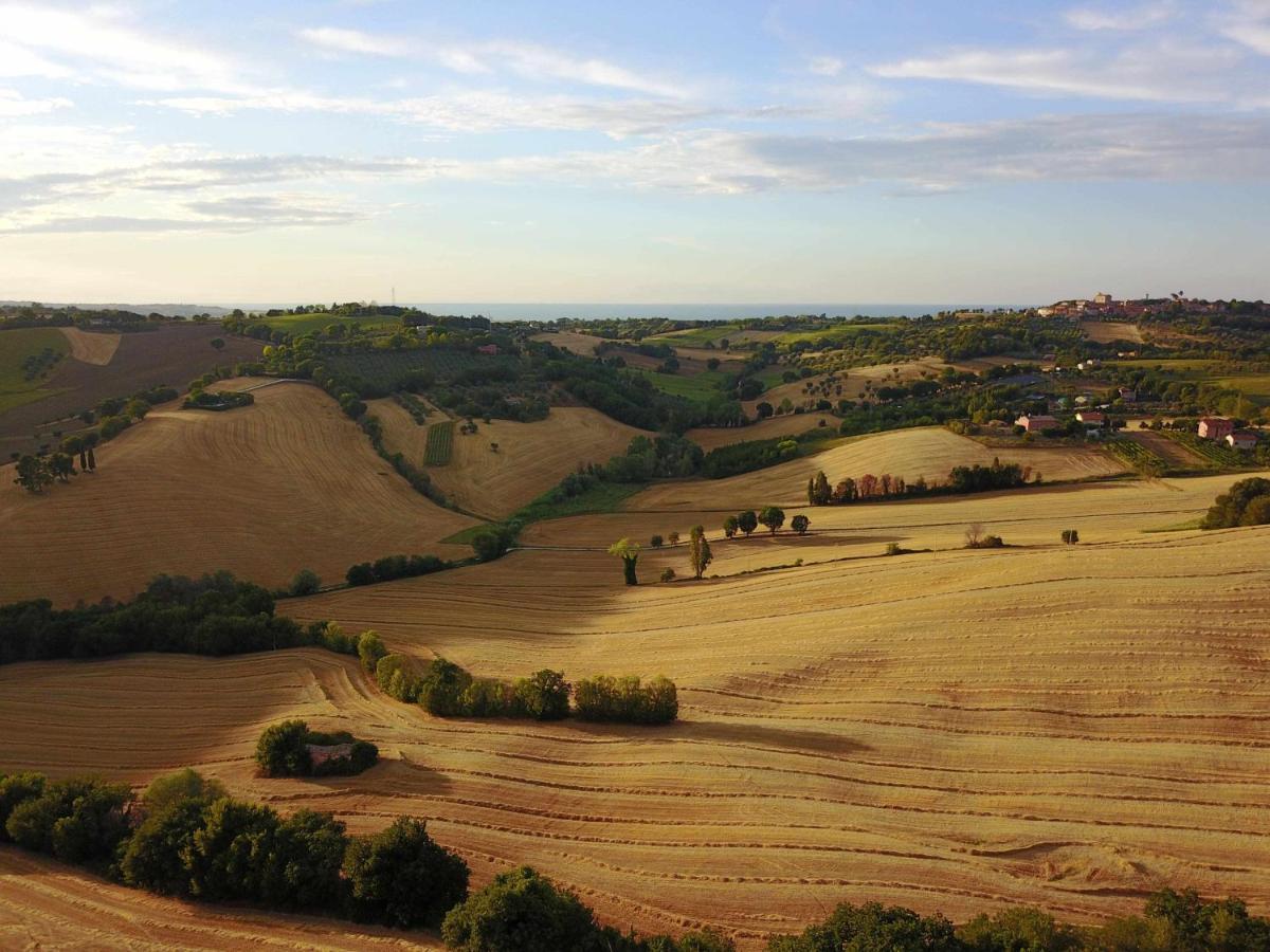 La Meriggia Agriturismo- Ampio Appartamento Con Terrazza Esclusiva Ancona Bagian luar foto