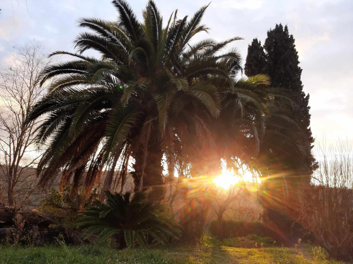 La Meriggia Agriturismo- Ampio Appartamento Con Terrazza Esclusiva Ancona Bagian luar foto