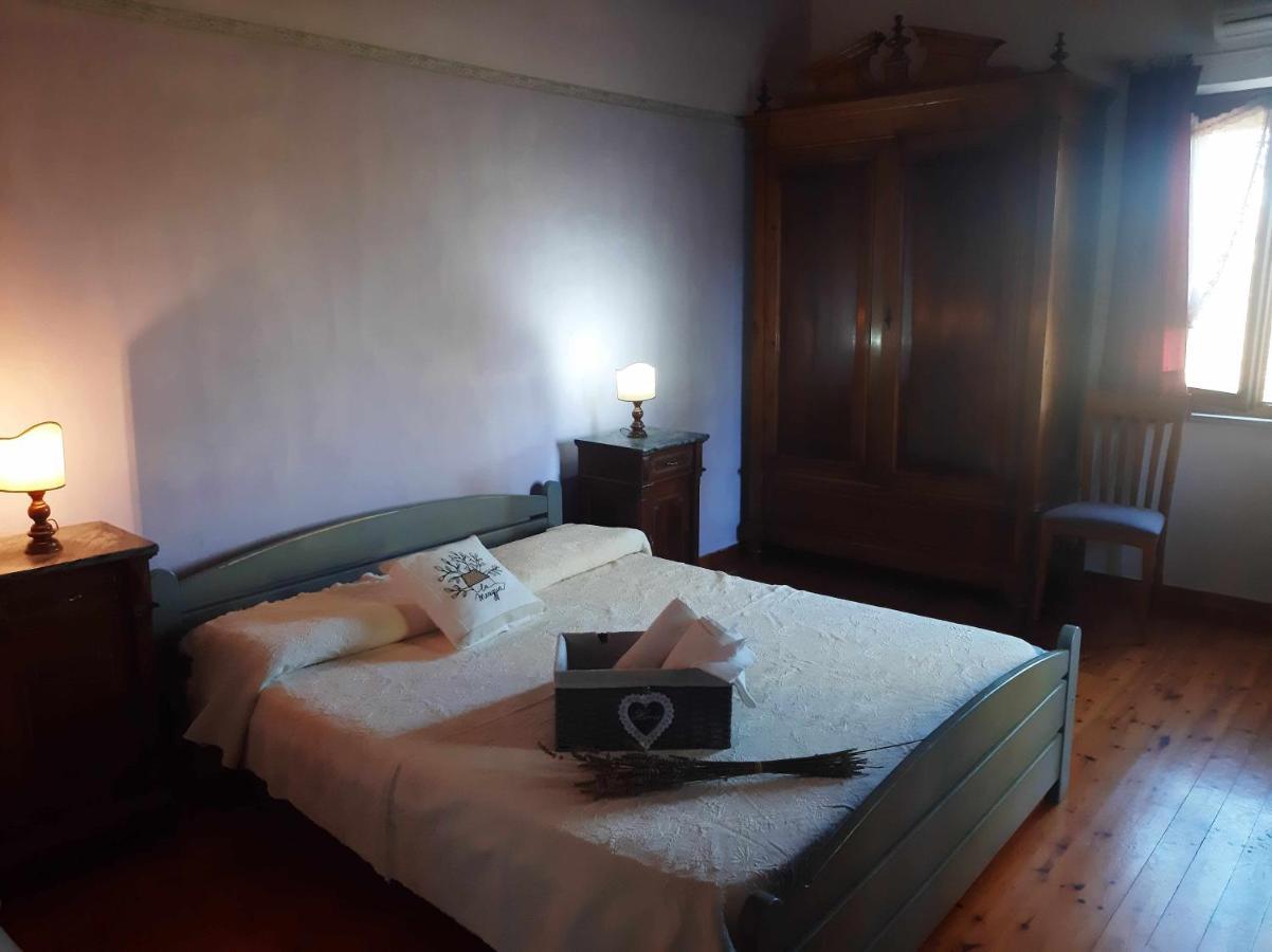 La Meriggia Agriturismo- Ampio Appartamento Con Terrazza Esclusiva Ancona Bagian luar foto