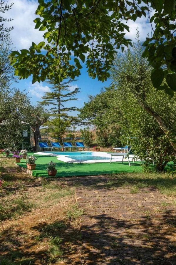 La Meriggia Agriturismo- Ampio Appartamento Con Terrazza Esclusiva Ancona Bagian luar foto