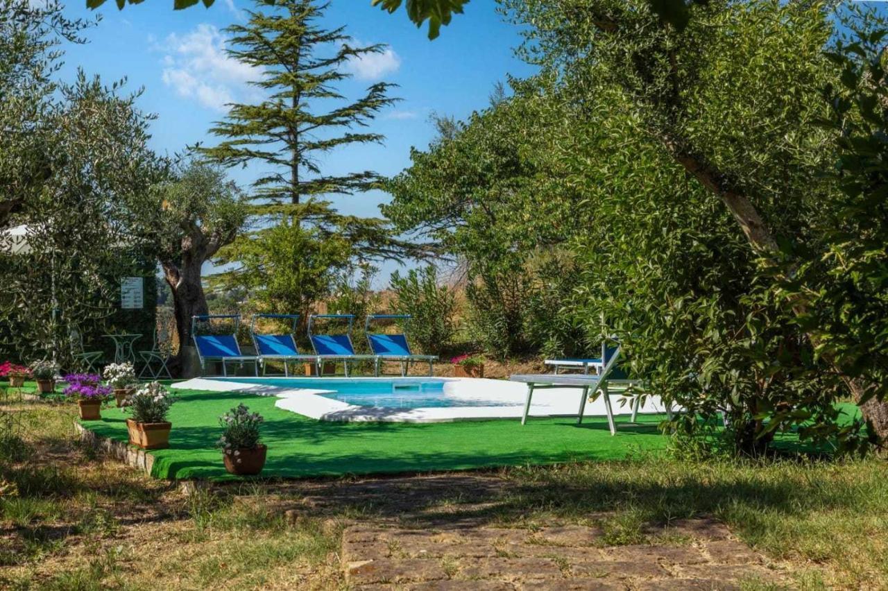 La Meriggia Agriturismo- Ampio Appartamento Con Terrazza Esclusiva Ancona Bagian luar foto